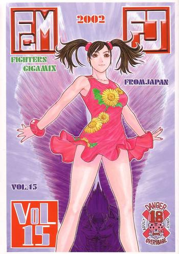fighters gigamix fgm vol 15 cover