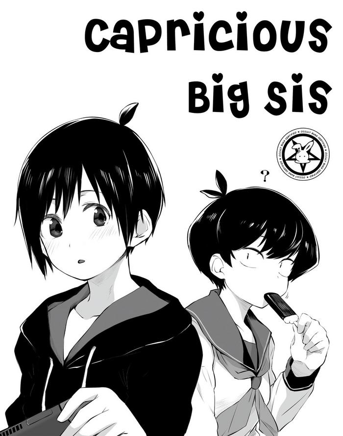 kimagure oneechan capricious big sis cover