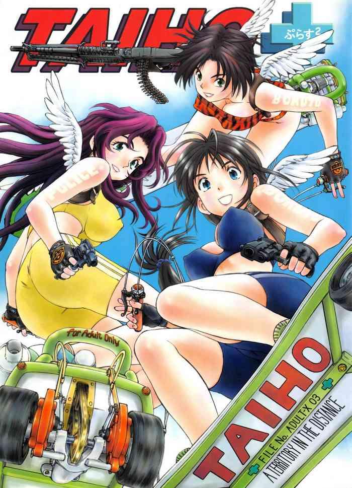 taiho file03 cover