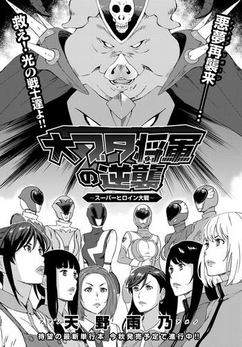 dai buta shougun no gyakugeki cover