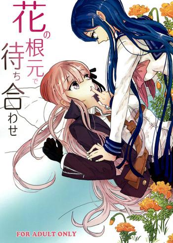 hana no nemoto de machiawase meeting at the root of all flowers cover