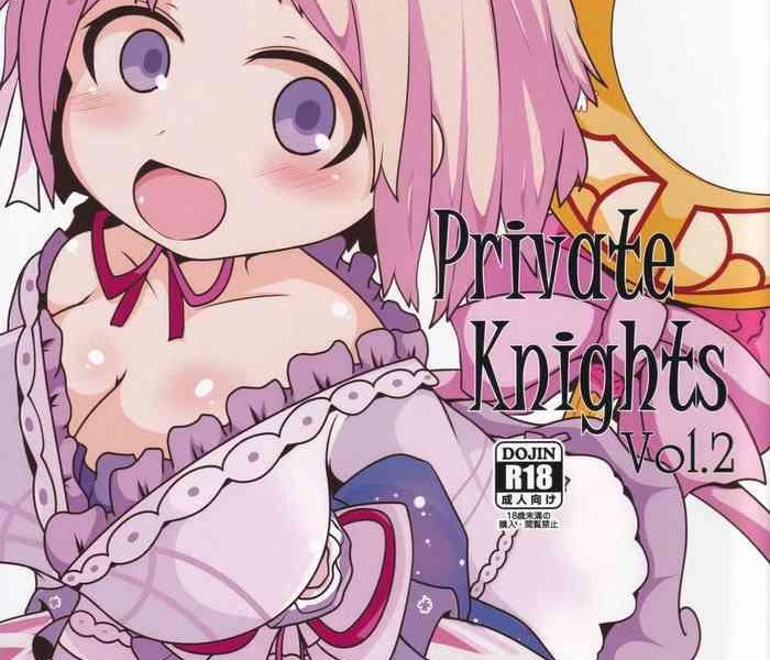 private knights vol 2 cover